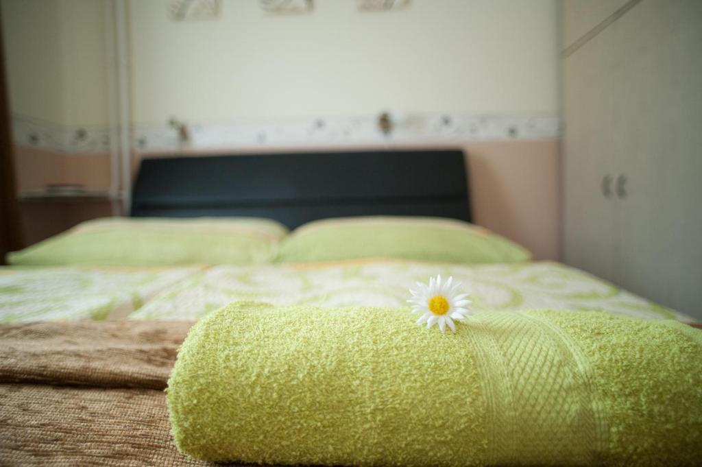 Oleander Apartman Хевіз Екстер'єр фото